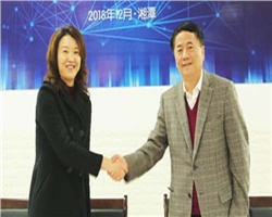 銳意進取，創新發展—威勝電氣2019年經營管理目標宣貫會勝利召開